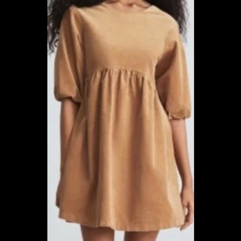 Everlane dress